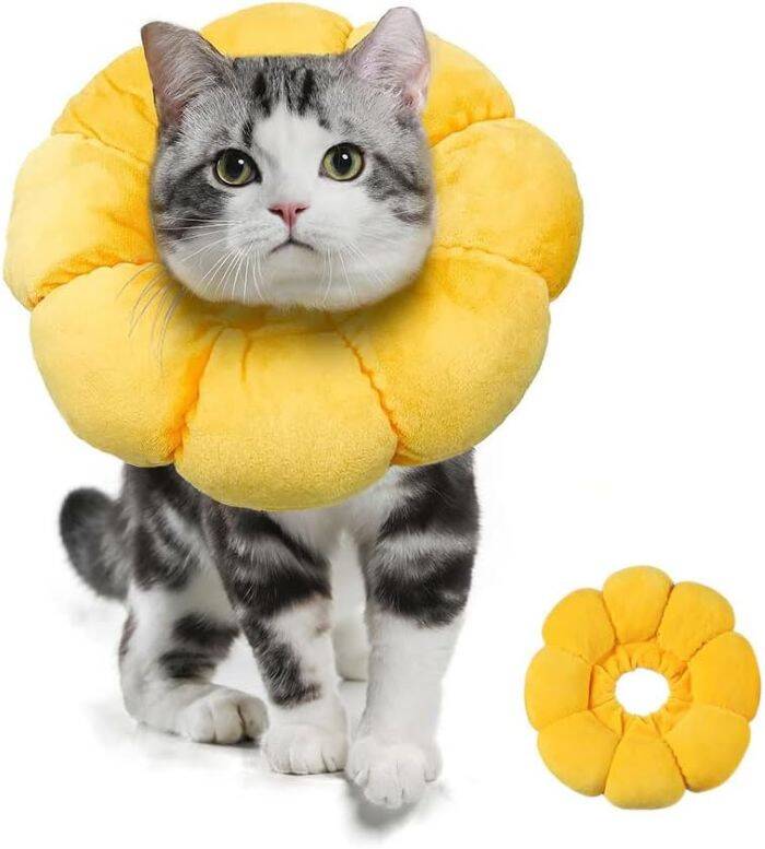 الیزابت طرح گل آفتابگردان